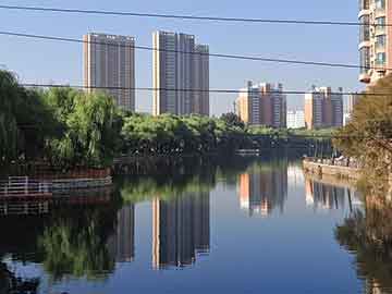 野兔的生活习性,野兔的生活规律和活动的环境